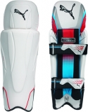 Wicket Keeping Pads